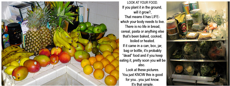 The healthy kitchen. All raw organic fresh food. No cooked food. Easy, fast and quick to make in a blender or juicer. The food is alive, not dead, cooked or processed.
