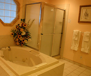 luxury guest bath at MarkusWorld solar home